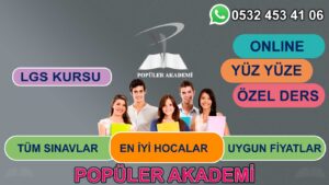 Online Lgs Hazırlık Kursu İstanbul