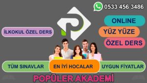 BİLSEM Sınavına Hazırlıkta Ailelerin Bilmesi Gerekenler 4 34d54085 fb90 4f73 a854 f0aa958ca8c8